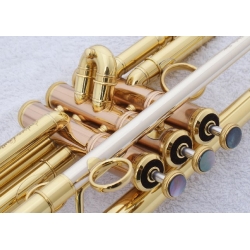 Trąbka Carol Brass Andrea Giuffredi Commercial