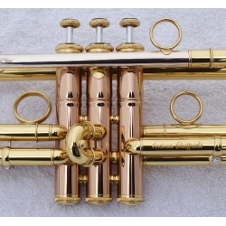 Trąbka Carol Brass Andrea Giuffredi Commercial