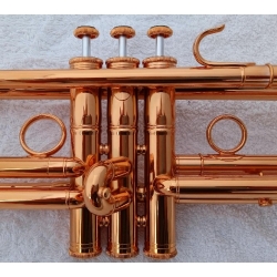 Trąbka Carol Brass MORGANA Model